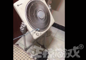 魔兽世界挂机不掉线，魔兽世界WOW（自制绝不封号的外挂）