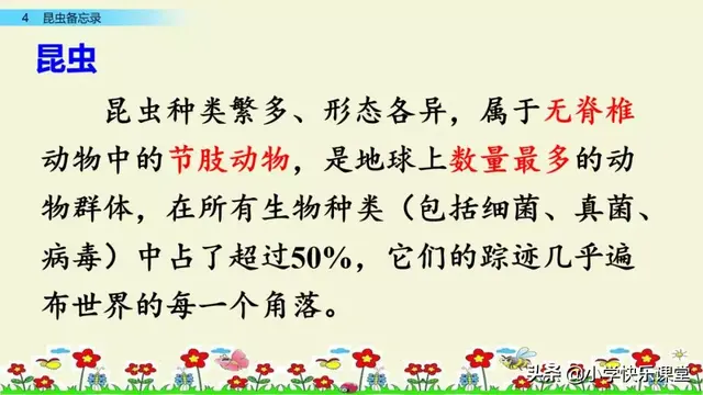 什么的硬翅，什么的硬翅？填四个字。（小学部编三年级语文下第4课《昆虫备忘录》图文+知识点+同步练习）