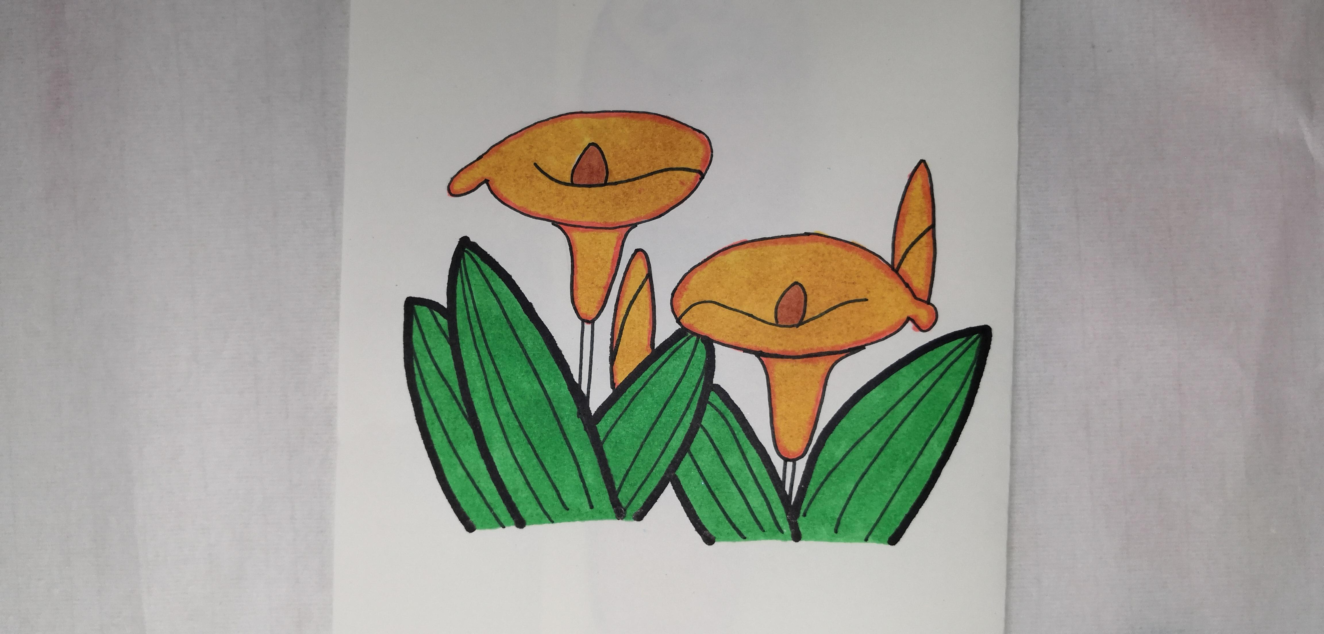 ǣţʻƯ(ǣţ̳̼ʻ)-Ǻ