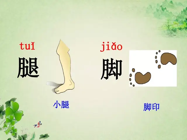 据说的近义词是什么，含有近义词的四字词语（部编版一年级下册《语文园地四》知识点+图文讲解）