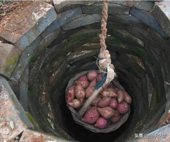红薯怎么保存不会烂掉，红薯怎么样保存不会烂（这个方法越放越甜）