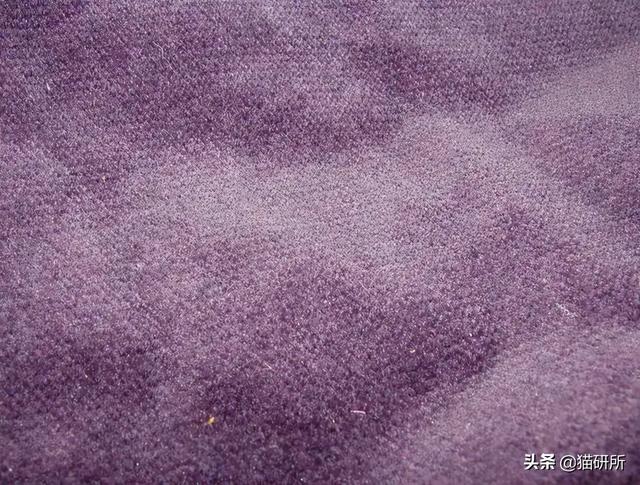 怎么防止猫咪抓沙发，怎么防止猫咪抓沙发跑（终于找到让猫咪不挠沙发的办法了）