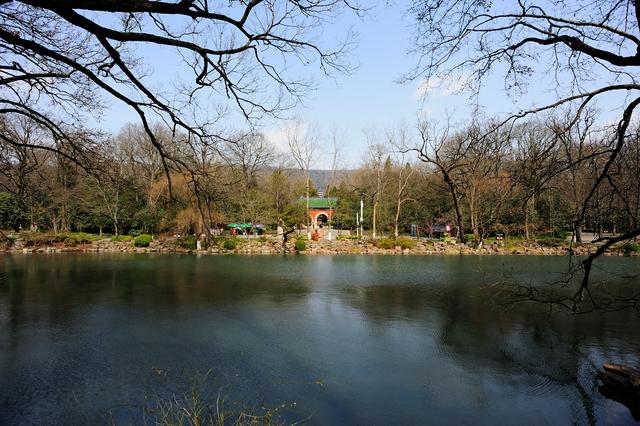 南京灵谷寺，南京灵谷寺萤火虫（朱元璋御封为“天下第一禅林”）