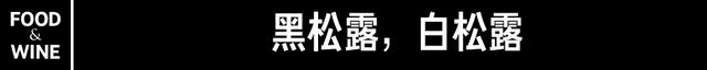 既寿永昌受命于天意思，受命于天既寿永昌什么意思（被嫌弃的中国松露的一生）