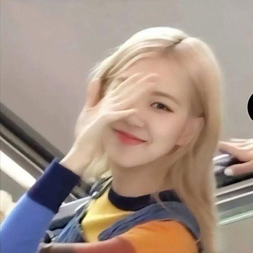 /江樱/ 澳洲野玫瑰朴彩英头像1弹微信，/江樱/ 澳洲野玫瑰朴彩英头像1弹（Rose头像壁纸澳洲野玫瑰）