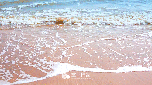 珠海白沙滩在哪里，珠海白沙湾沙滩（珠海新晋网红白沙滩免费开放）