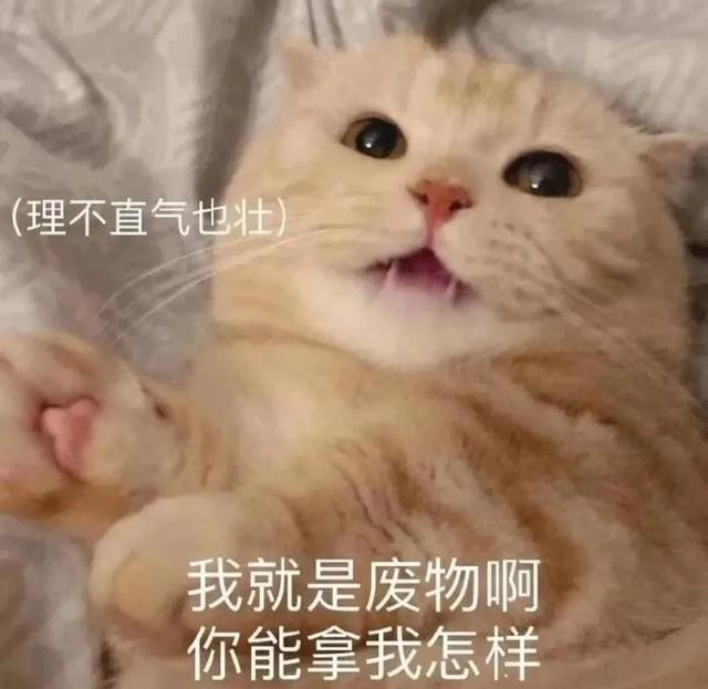 一对可爱狗狗表情包图集，情侣专用狗狗猫猫可可爱爱沙雕表情包