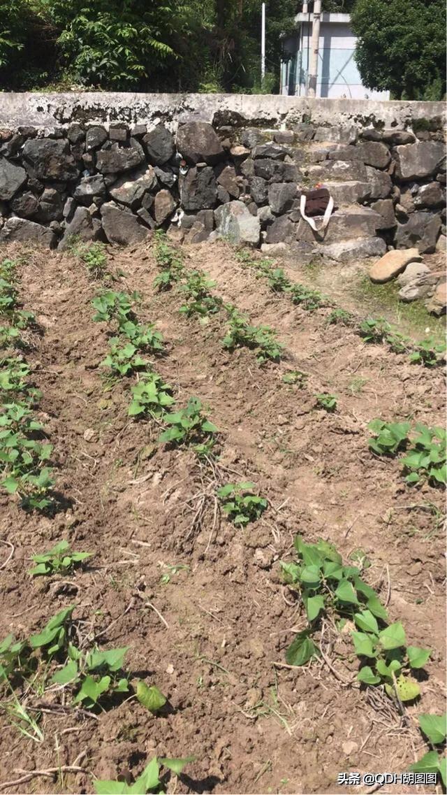 怎样惩罚自己成绩不好，怎样惩罚自己成绩不好的人（学习不努力，父亲这样惩罚我）