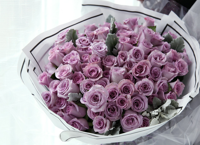 紫玫瑰花语是什么意思，紫色玫瑰花语是什么（玫瑰颜色品种那么多）