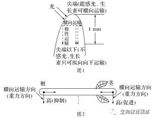 内环境的组成成分，内环境的组成成分含义（高三一轮复习必修三细节梳理和重点题型）