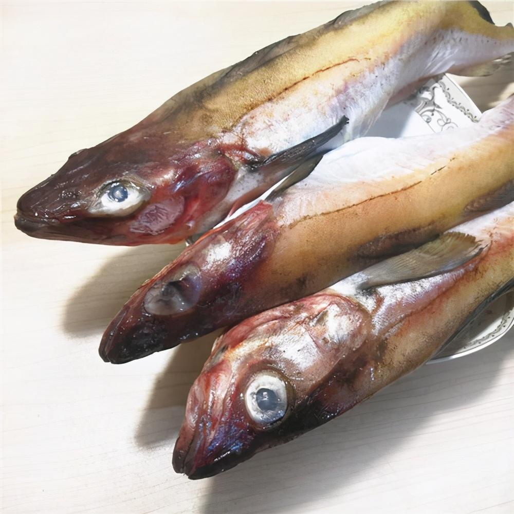 俄罗斯明太鱼大量出口原因(明太鱼的江湖韩国吃掉80%产量) - 生活百科