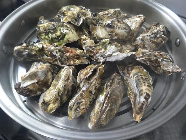 生蚝的做法蒸几分钟，生蚝的做法蒸几分钟海螺可以吃（冷水下锅还是热水下锅）