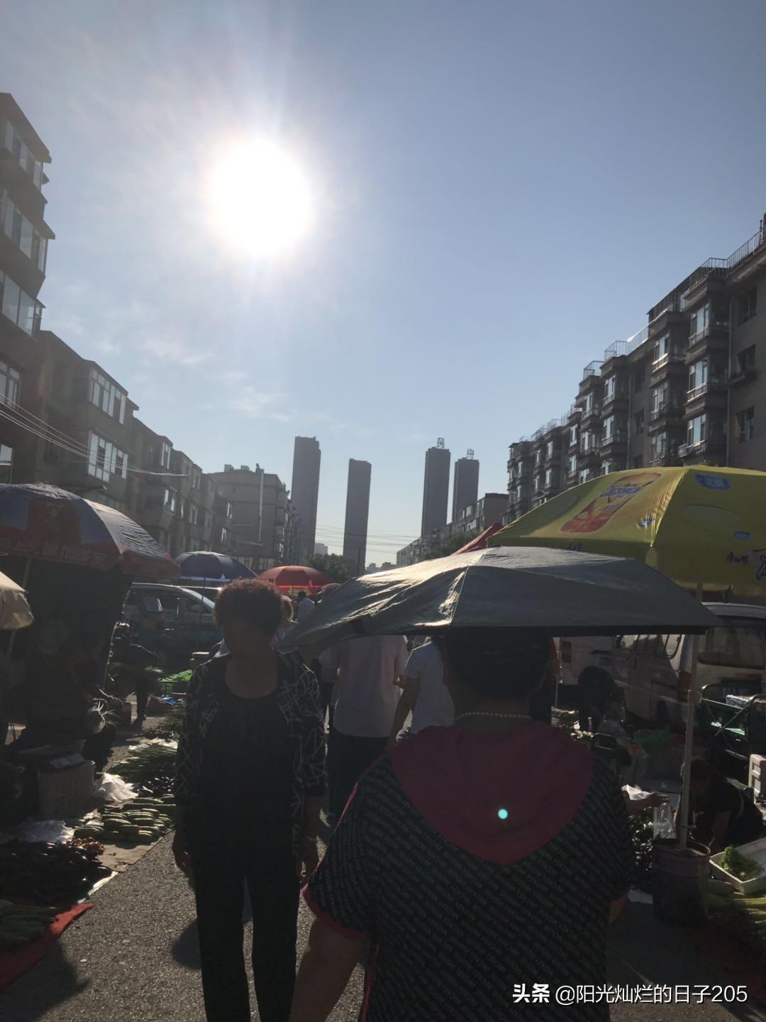 上北阳光灿烂的日子，阳光灿烂的日子里全集播放（屯粮积草开始了）