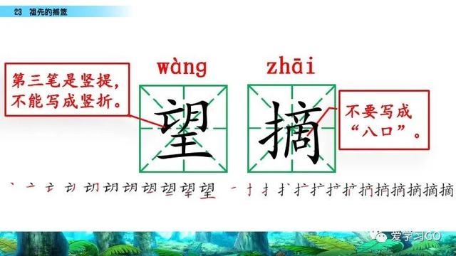 赛跑的拼音，赛跑的拼音怎么读（部编版二年级下册第23课《祖先的摇篮》知识点+图文讲解）