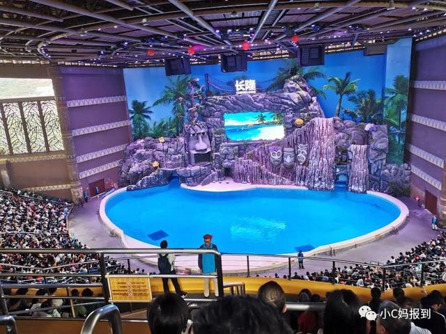 珠海长隆游玩攻略，珠海长隆游玩攻略图（带娃去珠海长隆该怎么玩）