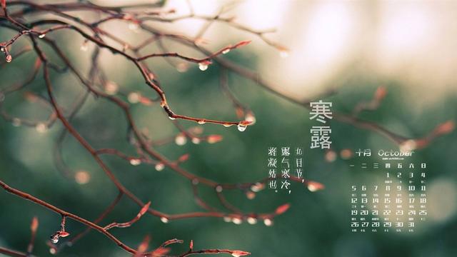 大雁南飞是什么季节，大雁南飞是什么季节?( ) A春秋 B春夏 C秋冬 D冬春（带你走进诗词里的节气）