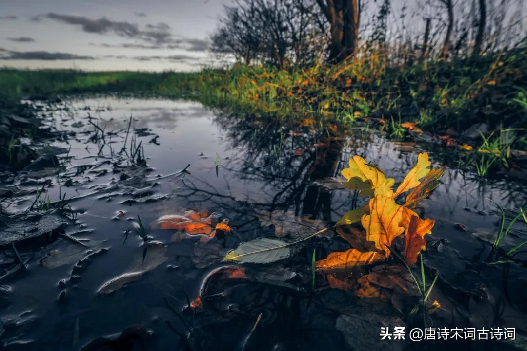 空山新雨后全诗赏析(天气晚来秋全文翻译)