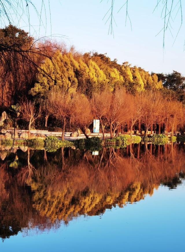 云南弥勒旅游攻略，云南弥勒旅游攻略必（自驾云南——弥勒攻略之湖泉生态园慢病疗养圣地）