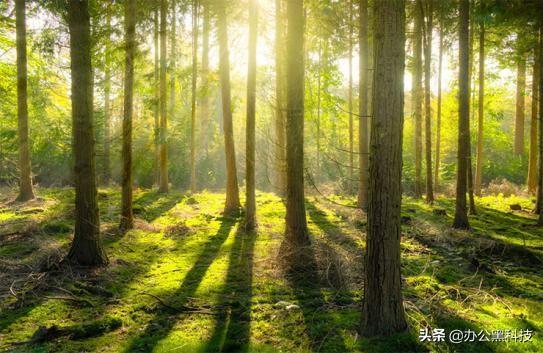 hdr是什么(手机hdr功能是什么意思)
