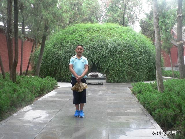 白马寺在哪个城市，白马寺在哪里个城市（中国第一古刹，洛阳白马寺）