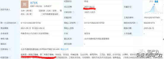 菲洛嘉是什么，选择困难症还没好
