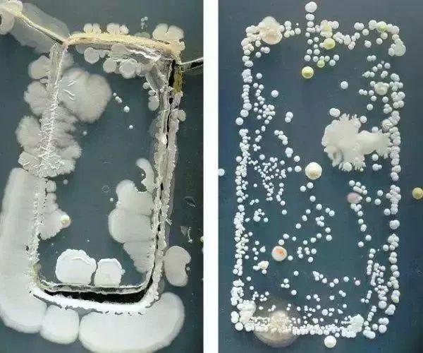 怎么防止眼镜起雾，游泳眼镜如何防止起雾（立马拥有的小秘诀）