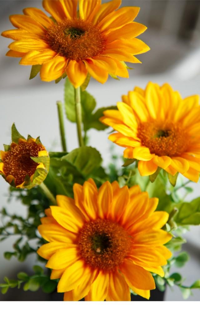 30年后同学聚会短语，三十年同学聚会金句（60岁老同学聚会感言）