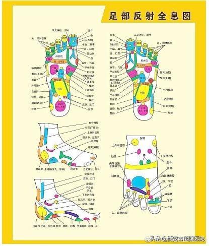 脚部反射区的自我疗法，足部反射区疗法《常用手法》《1》（足部反射区按摩）