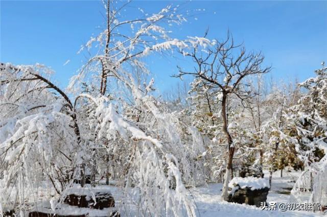 小大寒是指什么过后是什么，小大寒指的是什么（大雪节气说大雪）