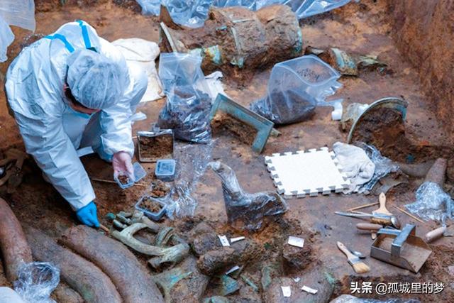 象牙有什么作用呢，象牙起到什么作用（“三星堆”遗址中）