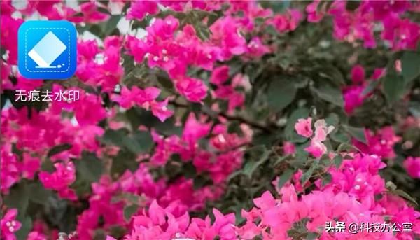 手机怎么去水印，手机怎么去水印最简单（如何用手机快速去除）