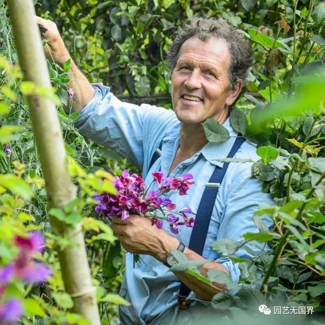 香豌豆的花语是什么，野豌豆的花语（欧洲人心目中的“切花之后”）