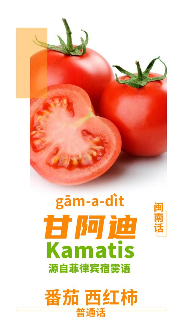 鲍鱼是什么意思网络语，女孩子鲍鱼是什么梗（闽南语里的“番仔话”）