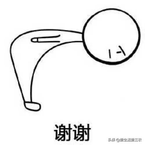致富经项目(致富经一亩地赚40万)