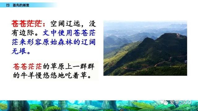 赛跑的拼音，赛跑的拼音怎么读（部编版二年级下册第23课《祖先的摇篮》知识点+图文讲解）