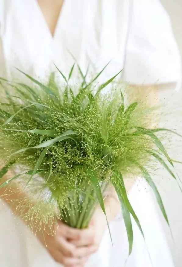 雪柳花语，雪柳花语殊胜什么意思（选对了叶材，鲜花靠边站）