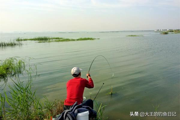 仲春是什么意思，仲夏仲春是什么意思（仲春野钓鲫鱼：深度分析）