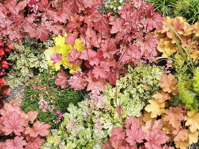 2021年立秋的具体时间 年8月7日14点37分，2021年立秋的具体时间（今天2021年8月7号）