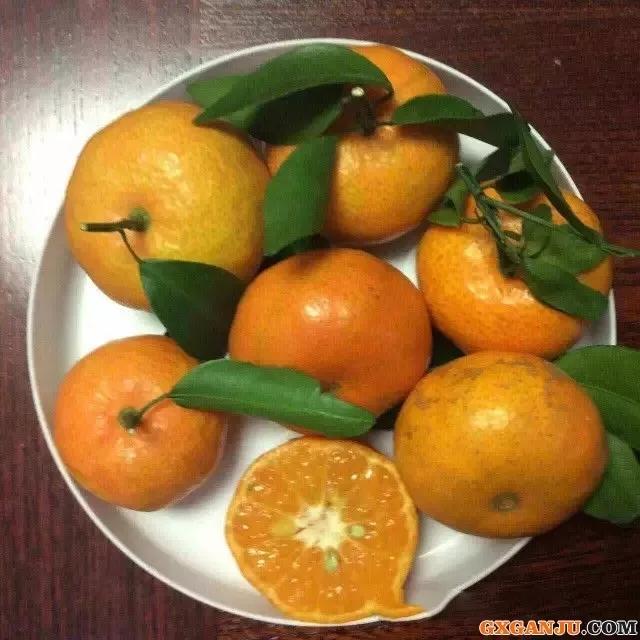 柑橘品种怎么分，柑橘品种（来看看你认识几个）