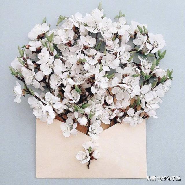 写给自己的一段话，写给以后的自己一段话（写给自己最暖心的句子）