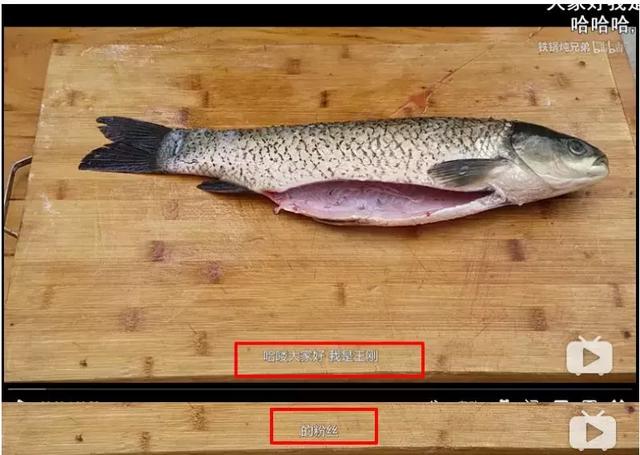 问题不大什么梗,“跟学”涨粉操作指南 问题不大什么梗,“跟学”涨粉操作指南