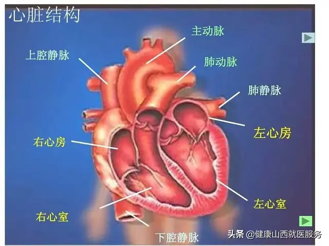 正常人心率是多少，正常人心率是多少呢（专家喊你赶紧去医院）