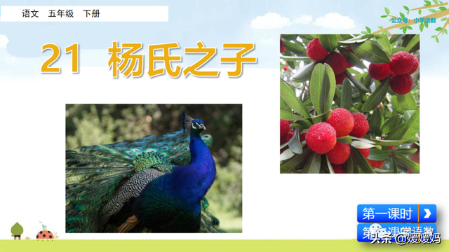 为设果下一句是什么，为设果什么意思（五年级下册语文第21课《杨氏之子》图文详解及同步练习）