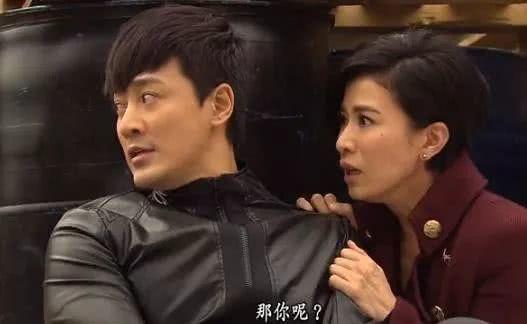 sdu是什么意思，半径是什么意思（TVB经典职业剧盘点第四回）