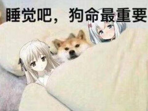 我的帅管家漫画，男主角占有欲极强的动漫或漫画（保留三十年经典设定）