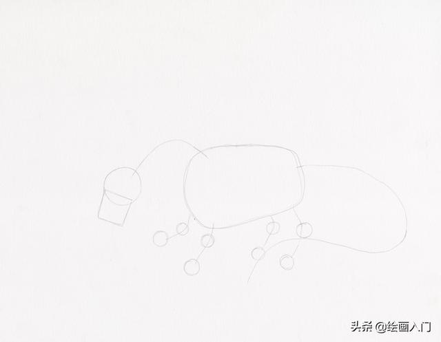 飞龙怎么画才霸气，飞龙怎么画霸气简笔画（来画一张飞龙的插画吧）
