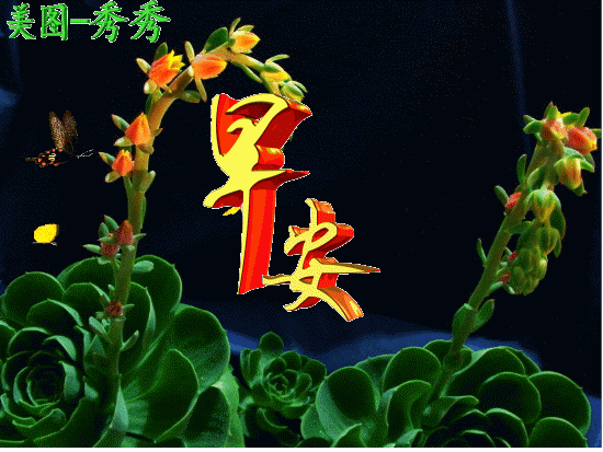 早安最美一句话，早安最美一句话有哪些（清晨最美早安问候祝福语温馨短句）