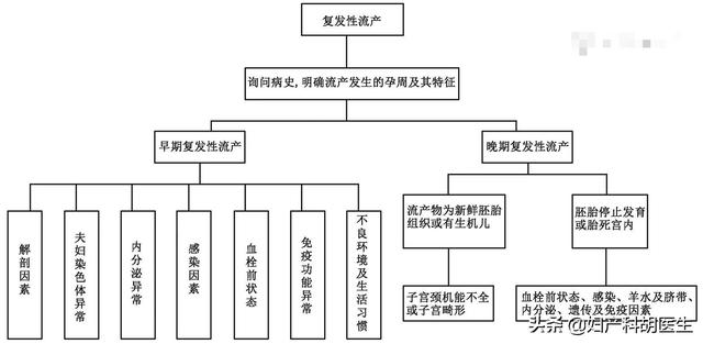 什么样的免疫问题会导致胎停，什么原因会引起胎停发育（医生，我为什么会发生胎停）