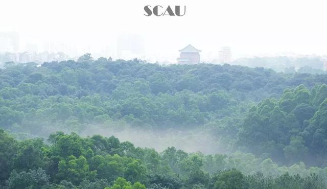 广州民航职业技术学院学费，2021年广州民航职业技术学院各专业学费_学费多少钱一年（—学思行高考志愿填报）