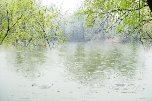 含有雨字的诗句有哪些，含有雨字的诗句有哪些二年级（8首最美的春雨诗词）